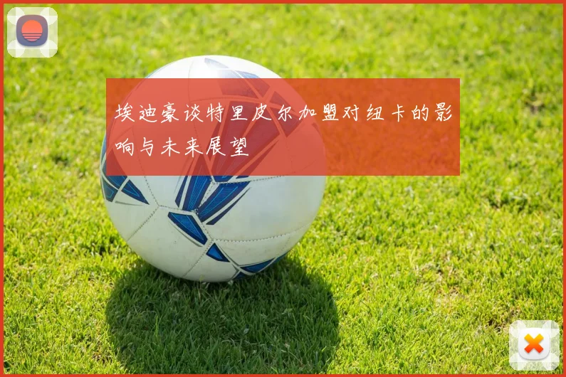埃迪豪谈特里皮尔加盟对纽卡的影响与未来展望
