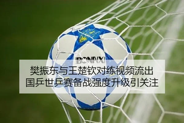 樊振东与王楚钦对练视频流出 国乒世乒赛备战强度升级引关注